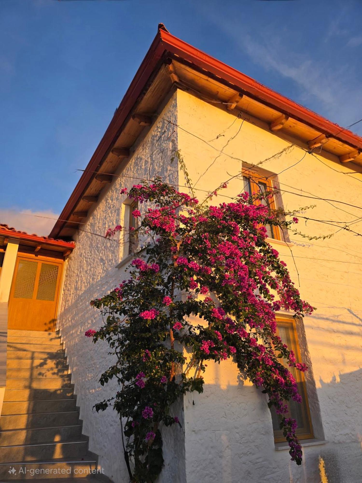 Guest House Luiza Borsh Luaran gambar