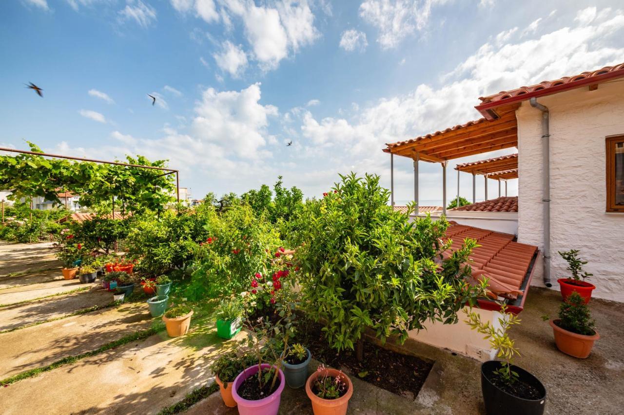 Guest House Luiza Borsh Luaran gambar